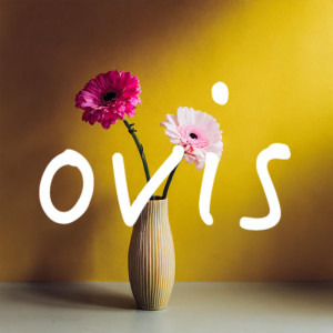 Listen to ほっといてよ song with lyrics from Ovis