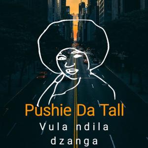 ดาวน์โหลดและฟังเพลง Vula Ndila Dzanga พร้อมเนื้อเพลงจาก Pushie Da Tall