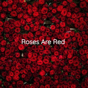 收聽Bobby Vinton的Roses Are Red歌詞歌曲