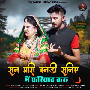 Listen to Sun Mari Bandi Suniye Mein Fariyad Karo song with lyrics from Bablu Ankiya