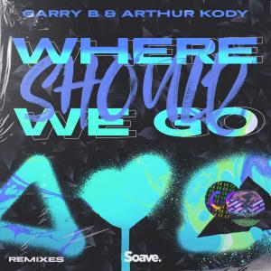 Listen to Where Should We Go (LOVD Remix) song with lyrics from GARRY B
