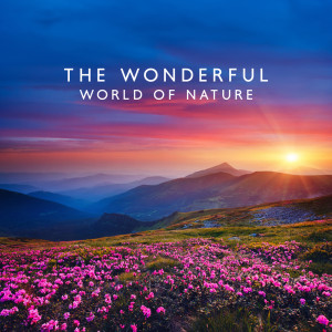 The Wonderful World of Nature (Yoga & Inner Contemplation, Ambient Harmony, Meditation Music Zone) dari Natureza Musica Bem-Estar Academia