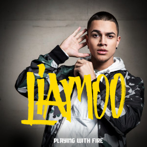 ดาวน์โหลดและฟังเพลง Playing With Fire พร้อมเนื้อเพลงจาก LIAMOO