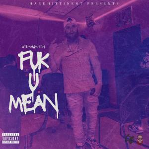 WizHardHittin的專輯Fuk U Mean (Explicit)