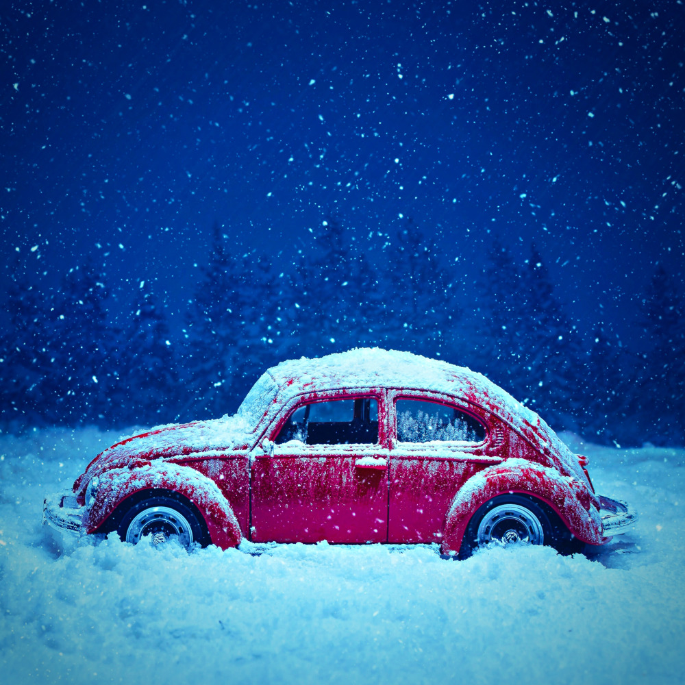 Cold World