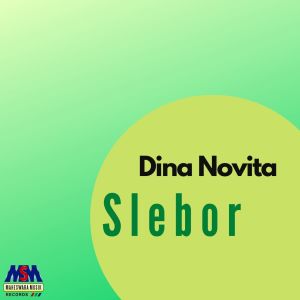 收听Dina Novita的Slebor歌词歌曲
