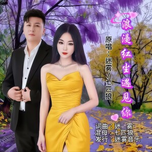 Album 浪漫红尘遇见你（对唱版） from 迷雾