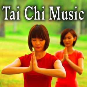 收聽Master Wu的Internal Arts歌詞歌曲