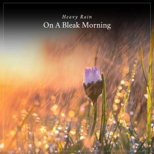 อัลบัม Heavy Rain on a Bleak Morning ศิลปิน Lightning, Thunder and Rain Storm