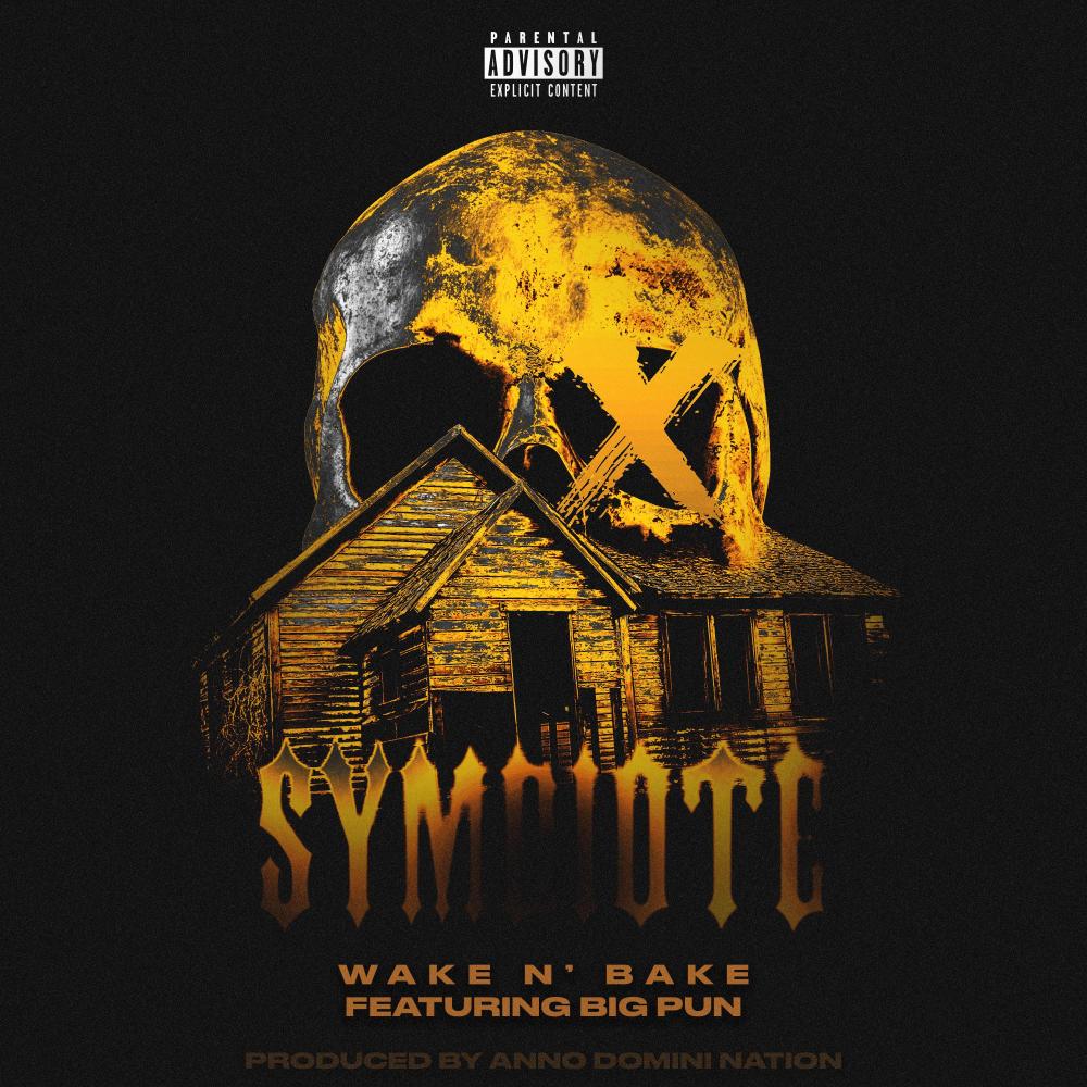 Symbiote (feat. Big Pun) (Explicit)