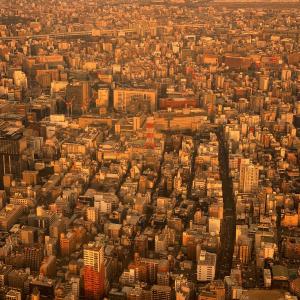 อัลบัม GIN ศิลปิน LEON (딥상어)
