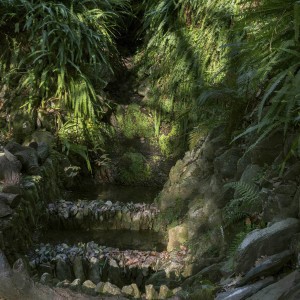 收听Jason Mas的Important歌词歌曲