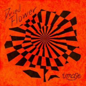 imase的專輯Dried Flower