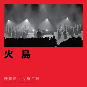 收听陈辉阳的火鸟歌词歌曲