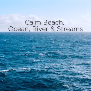 ดาวน์โหลดและฟังเพลง Ambient Water Meditation พร้อมเนื้อเพลงจาก Ocean Waves for Sleep