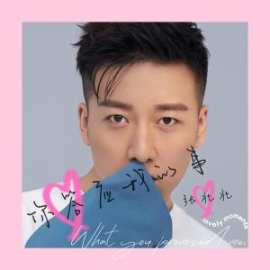 Album 你答应我的事 oleh 张北北