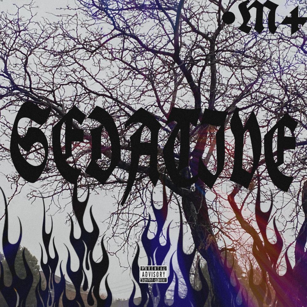 Sedative (feat. Steezy.) (Explicit)