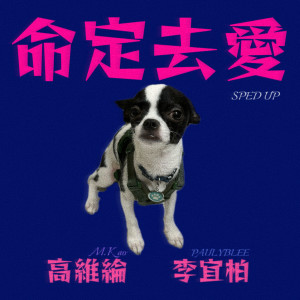 Listen to 命定去爱SPED UP song with lyrics from 高维纶 M.Kao