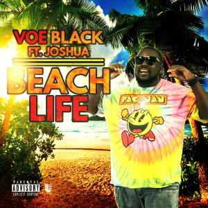 Listen to Beach Life (Explicit) song with lyrics from Voe Black