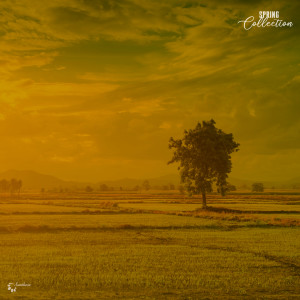 Listen to Imperceptible Gradations song with lyrics from Asking Altotas