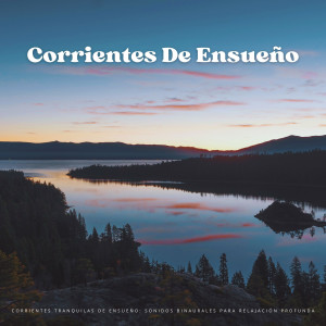 Corrientes Tranquilas De Ensueño: Sonidos Binaurales Para Relajación Profunda dari Paisajes sonoros de agua