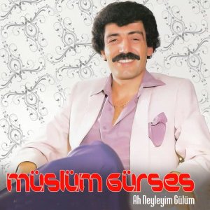 ดาวน์โหลดและฟังเพลง Leylek Baba พร้อมเนื้อเพลงจาก Müslüm Gürses
