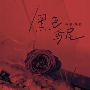 Album 黑色鸢尾 from 黑白