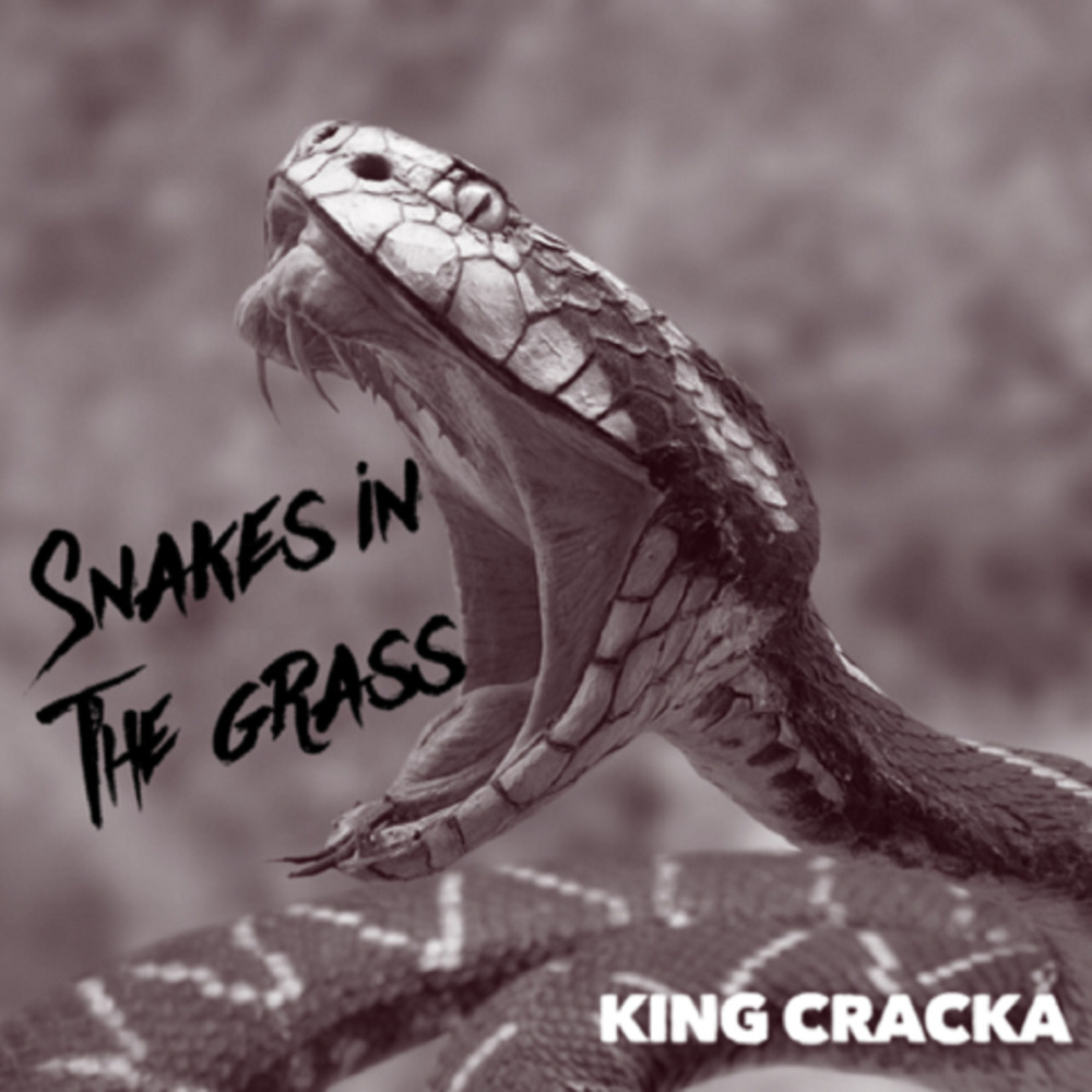 Snakes in the Grass (Explicit)