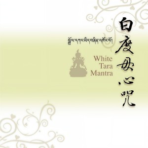 Listen to 白度母心咒 (美声佛韵版 12) song with lyrics from 王珺