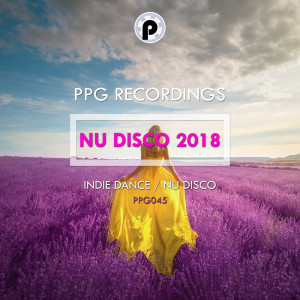 Album Nu Disco 2018 from Various Artists