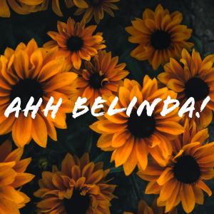 收聽Evren Uysal的Ahh Belinda!歌詞歌曲