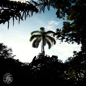 Listen to Jazzfields 2 song with lyrics from Lamar Azul
