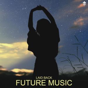 Album Laid Back Future Music from Various