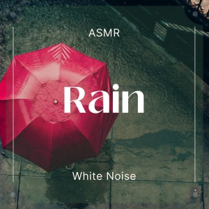 貴族音樂ASMR的專輯睡眠雨聲Sleep 下雨天的城市白噪音