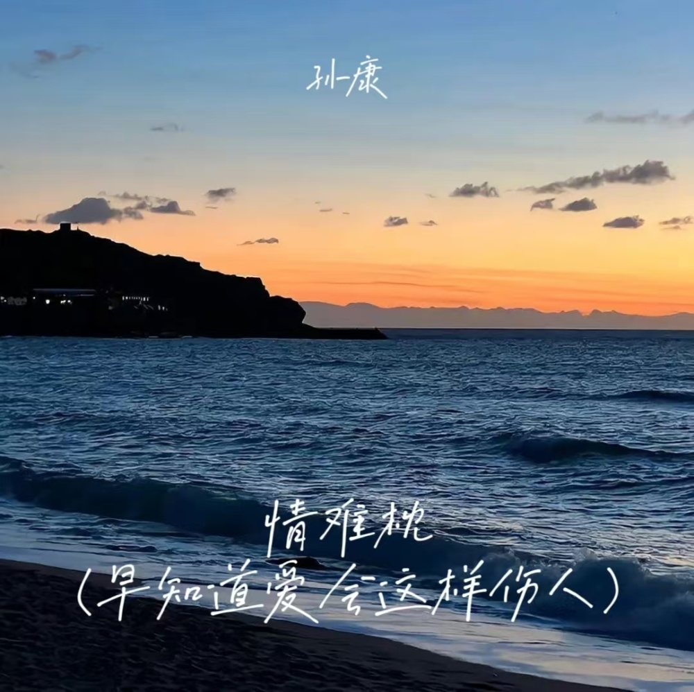 情难枕(早知道爱会这样伤人)