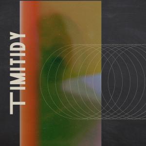Adrie的專輯Timidity