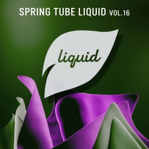 Various Artists的專輯Spring Tube Liquid, Vol. 16