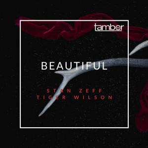 Album Beautiful from Stan Zeff