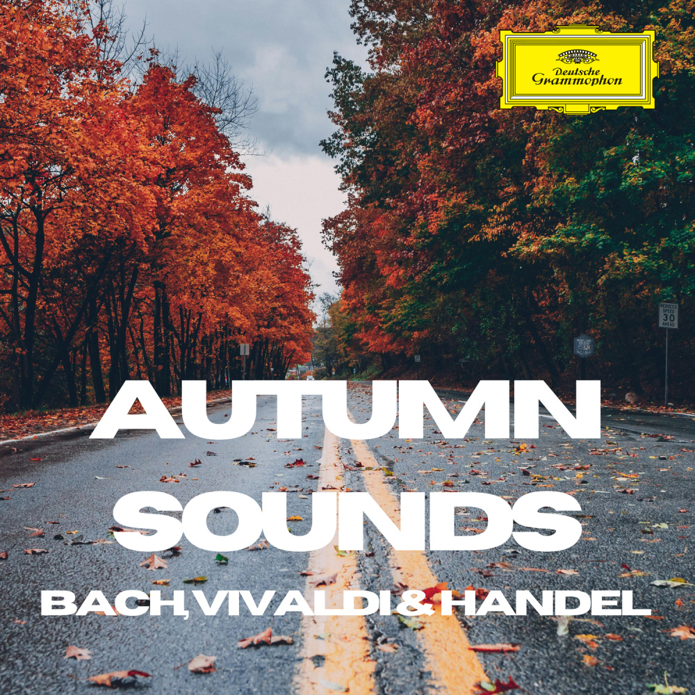 J.S. Bach: French Suite No. 2 in C Minor, BWV 813: II. Courante