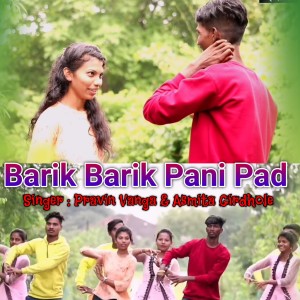Listen to Barik Barik Pani Pad song with lyrics from Pravin Vanga