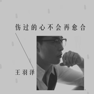 Dengarkan lagu 伤过的心不会再愈合 (伴奏) nyanyian 王羽泽 dengan lirik