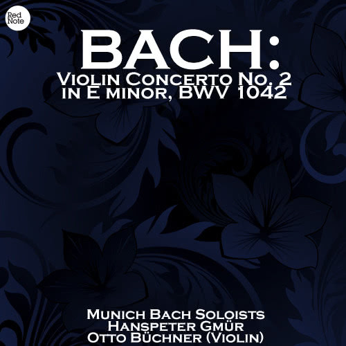 Violin Concerto in E minor, BWV 1042: I. Allegro