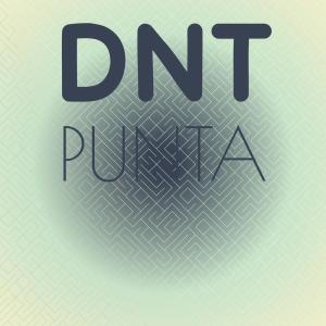 Various的专辑Dnt Punta