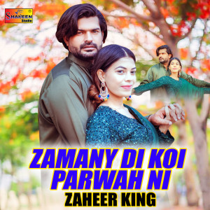 Album Zamany Di Koi Parwah Ni from 