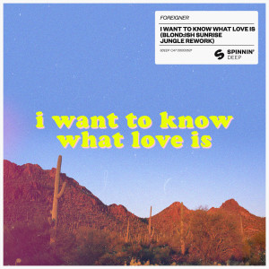 ดาวน์โหลดและฟังเพลง I Want To Know What Love Is (BLOND:ISH Sunrise Jungle Rework) พร้อมเนื้อเพลงจาก Foreigner