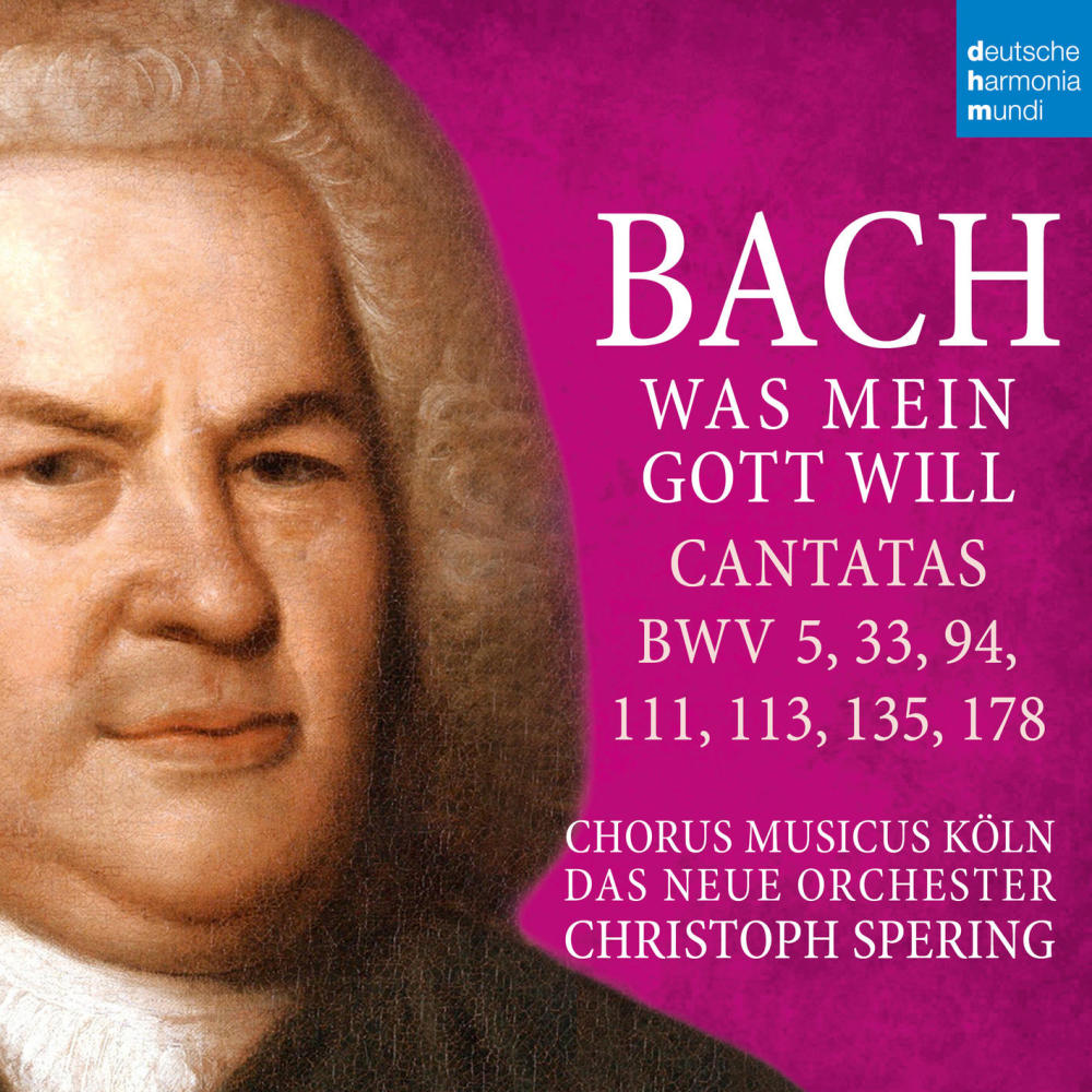 Herr Jesu Christ, Du höchstes Gut, BWV 113: V. Jesus nimmt die Sünder an (Aria)