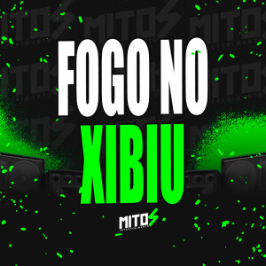 Listen to Fogo No Xibiu (Explicit) song with lyrics from Dj Felipe Amadeu