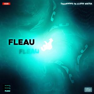 收聽fleau的DROWNING IN CLEAR WATER (feat. Neem, Kermode Zay & Rob Buck) (Explicit)歌詞歌曲