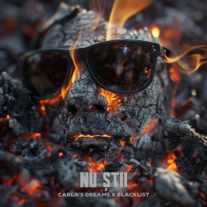 Listen to Nu Știi song with lyrics from Carla's Dreams