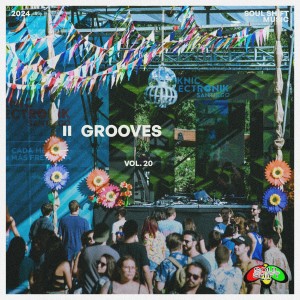 อัลบัม Grooves, Vol. 20 ศิลปิน ดารานักร้องหลายคน